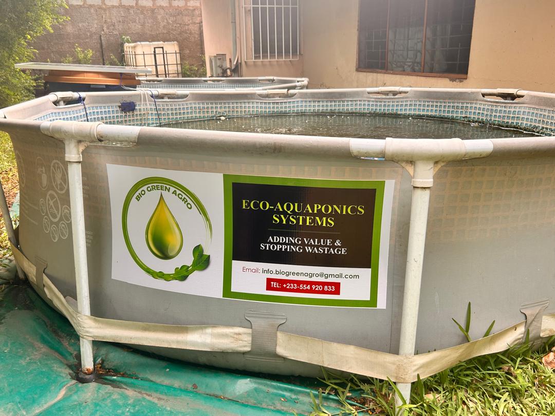 Bio Green Agro eco-aquaponics system in Ghana