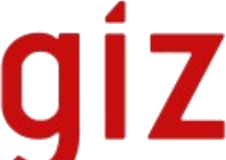 GIZ logo
